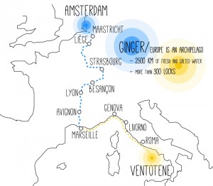 Ginger MAP