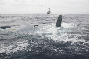 Search teams find missing British yacht