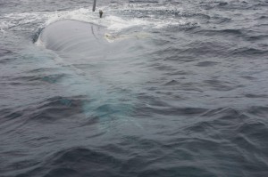 Search teams find missing British yacht